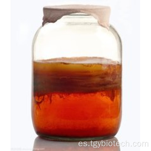 Extracto de té de kombucha orgánico al por mayor en polvo